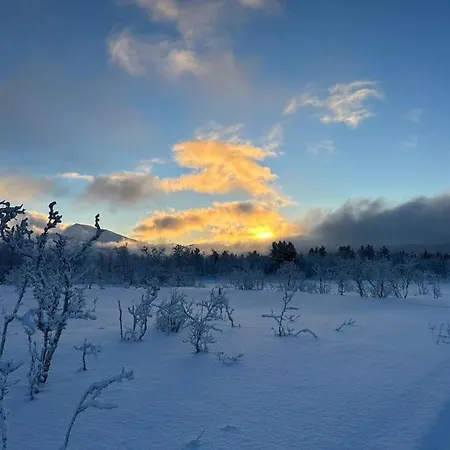 I Rolig Gate Med Utsikt Og Gratis Parkering * Tromso